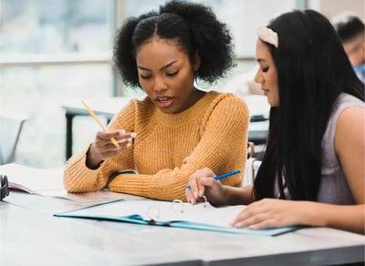 muleshoe_geometry_inline