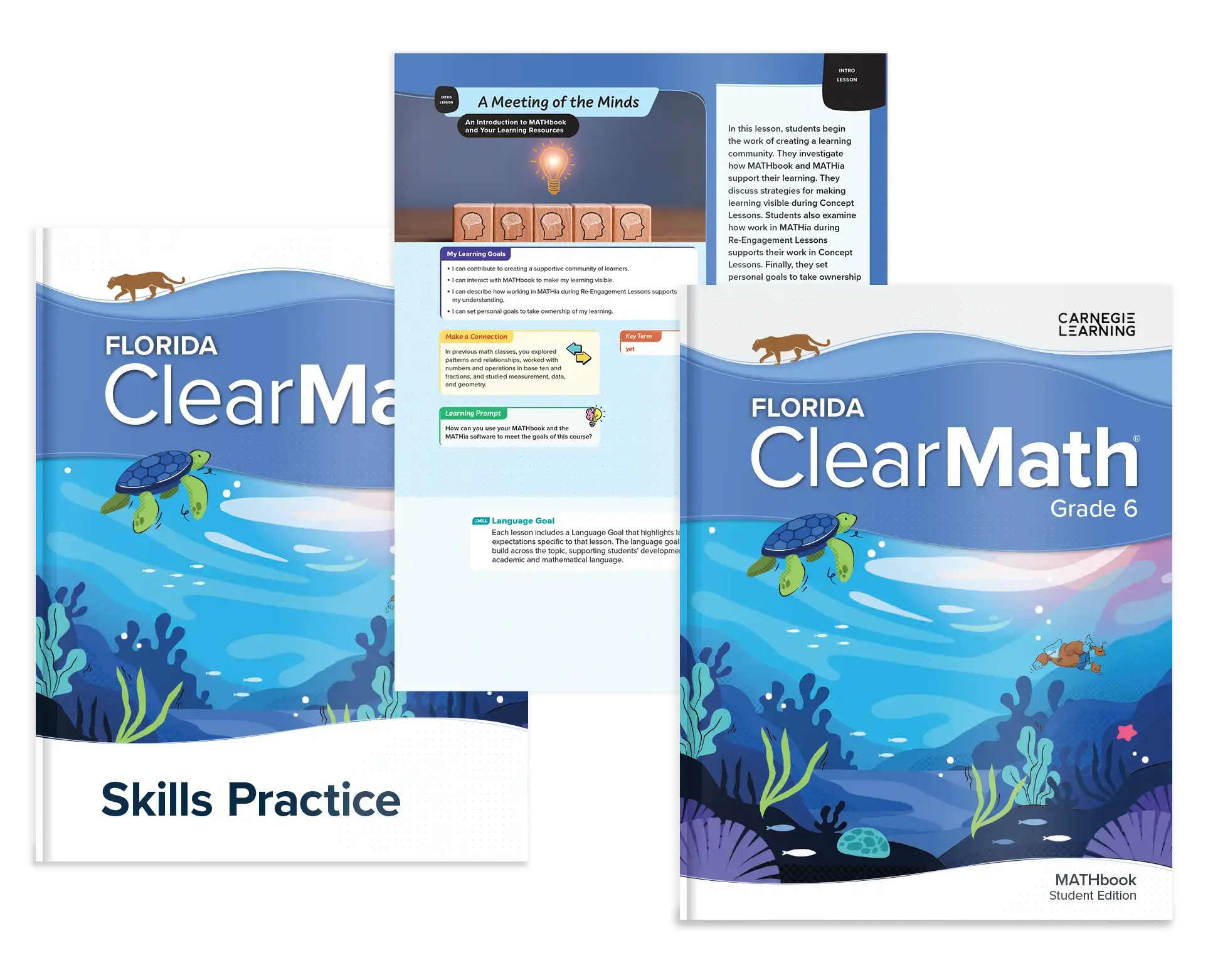 FL-ClearMath-2E-Student-Print-Grade-6