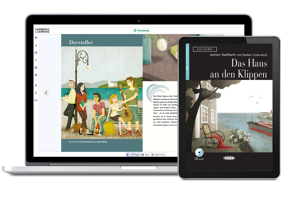 dsa-key-features-leveled-readers