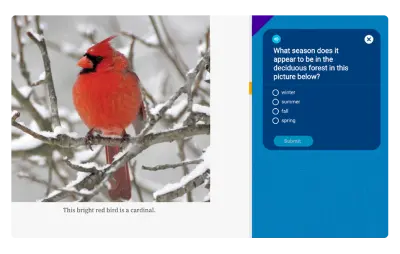 A vibrant red cardinal is perched on a snow-covered branch. To the right, a quiz question asks, What season does it appear to be in the deciduous forest in this picture below? with options: winter, summer, fall, spring.